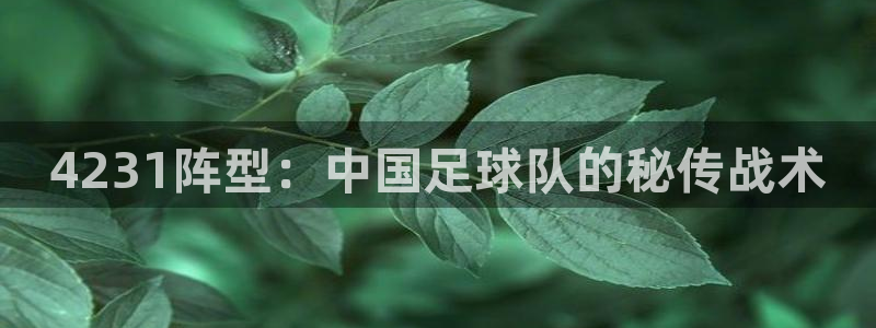 4231阵型：中国足球队的秘传战术