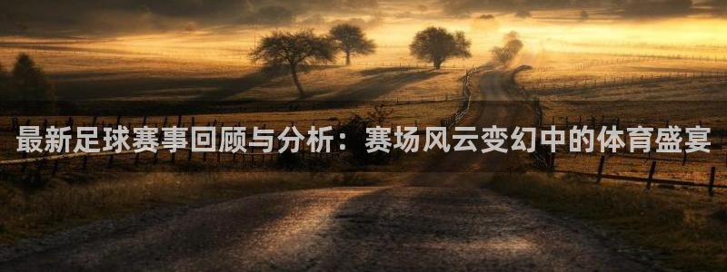 最新足球赛事回顾与分析：赛场风云变幻中的体育盛宴